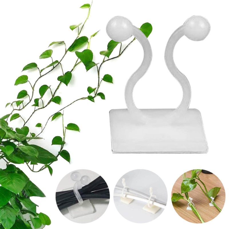 money plant clips for wall Multipurpose Adhesive Vine Wale Money Plant Wall Fixing Twist Support – Jayesh Variety