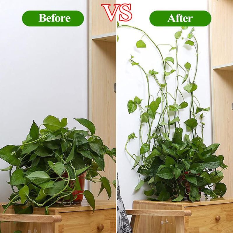 money plant wale Multipurpose Adhesive Vine Wale Money Plant Wall Fixing Twist Support –  Jayesh Variety