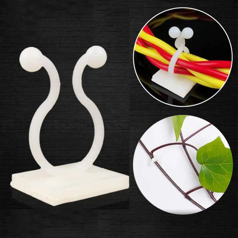 money plant wall clips Multipurpose Adhesive Vine Wale Money Plant Wall Fixing Twist Support – Jayesh Variety