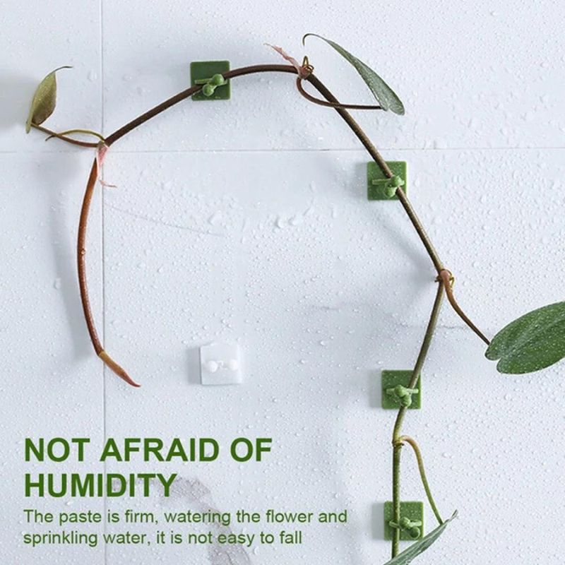money plant wall clips Multipurpose Adhesive Vine Wale Money Plant Wall Fixing Twist Support – Jayesh Variety